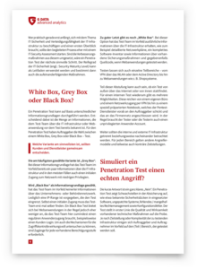 Kapitel "White Box, Grey Box oder Black Box?" Seite 4 des Whitepapers