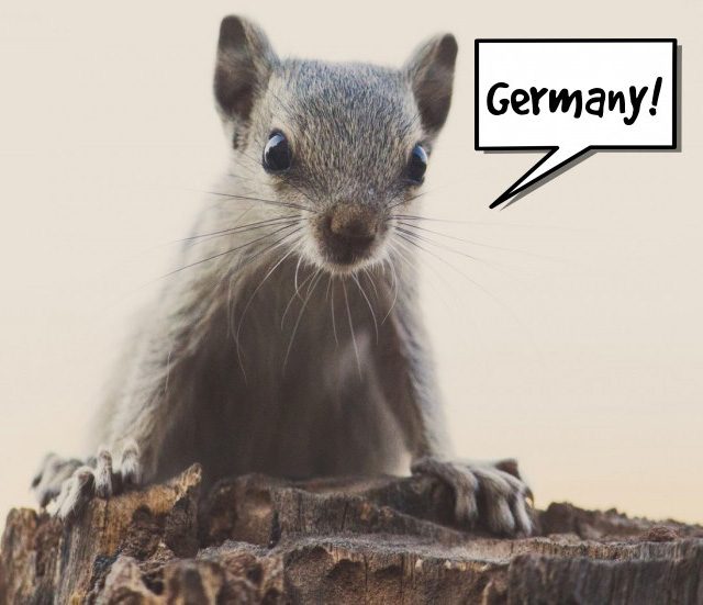 Pekraut - German RAT starts gnawing