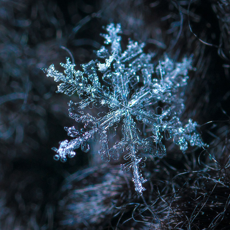 Einzelner Eiskristall in blauem Licht