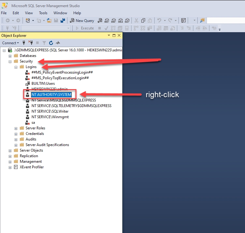 SSMS Start and Connect